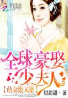 全球豪娶少夫人全文免费
