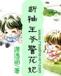 短袖王爷警花妃