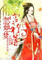 忽如一夜春衫薄