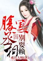 腹黑丞相别乱来