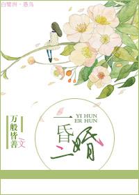 一昏二婚 连山益