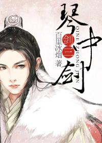 剑网三琴