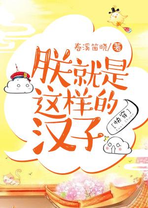 朕就是这样汉子什么意思