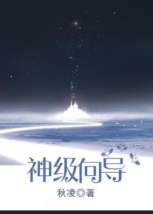 神级向导百度