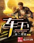 车王舒马赫离逝
