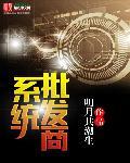 批发系统源码