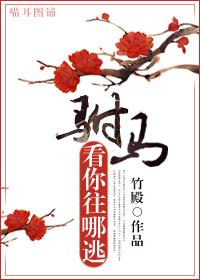 驸马看你往哪儿逃gl