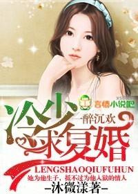 一醉沉欢冷少求复婚