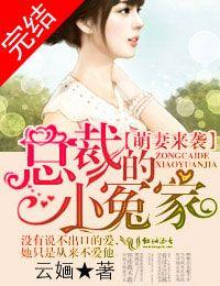 萌妻小宝总裁找上门来无弹窗