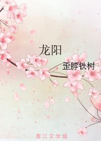 龙阳之好读音