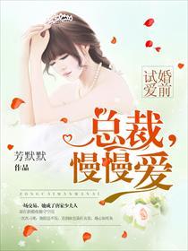 婚前试爱:总裁,慢慢爱