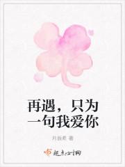 再遇,只为一句我爱你