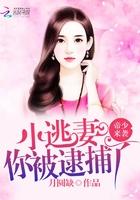 帝少来袭:小逃妻,你被逮捕了