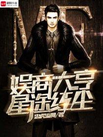 娱商大亨:星途红尘