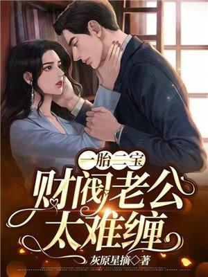 一胎二宝:财阀老公太难缠