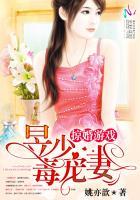 掠婚游戏:昱少毒宠妻
