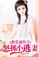 蜜爱通缉令:怒抓小逃妻